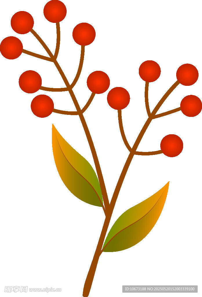紅色漿果植物插畫