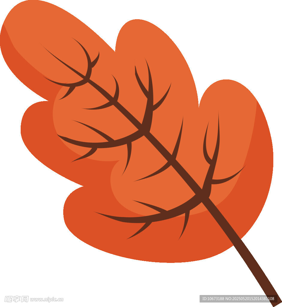 橙紅色楓葉插畫