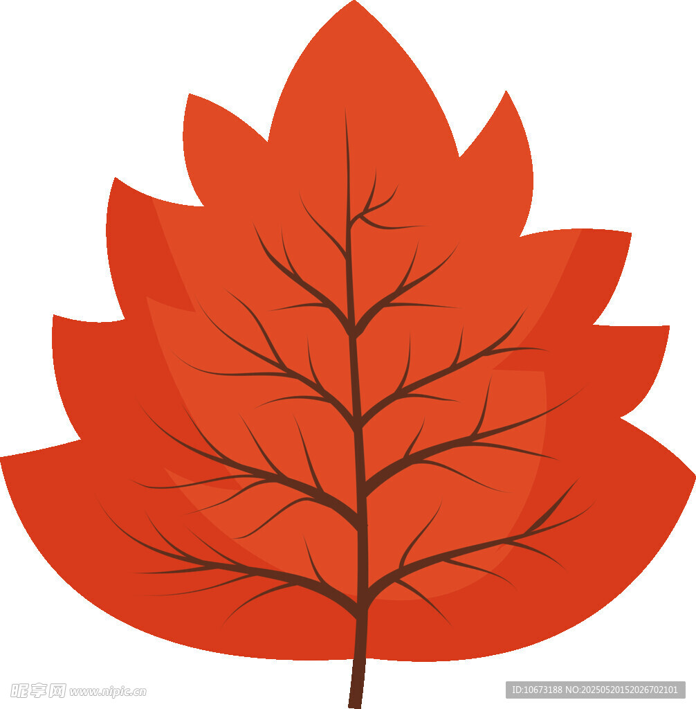 紅色楓葉插畫