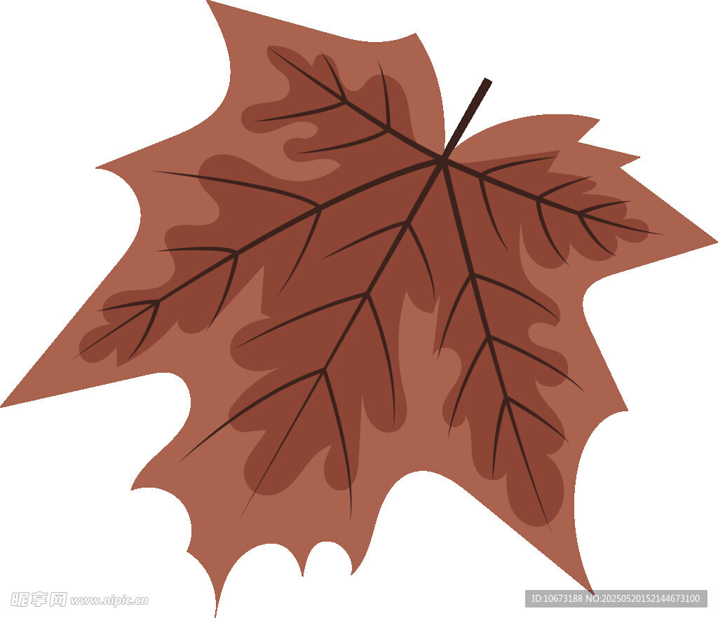 棕紅色楓葉插畫