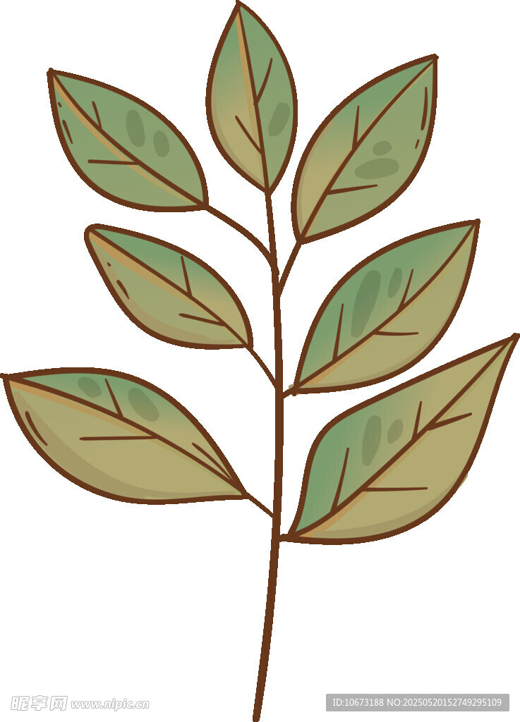 手繪綠葉植物插畫(huà)