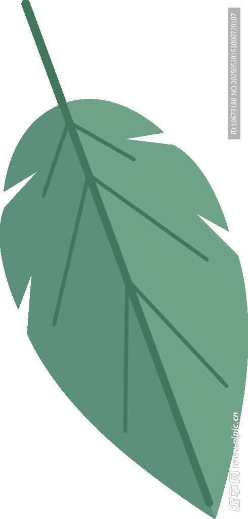 綠色單葉片插畫