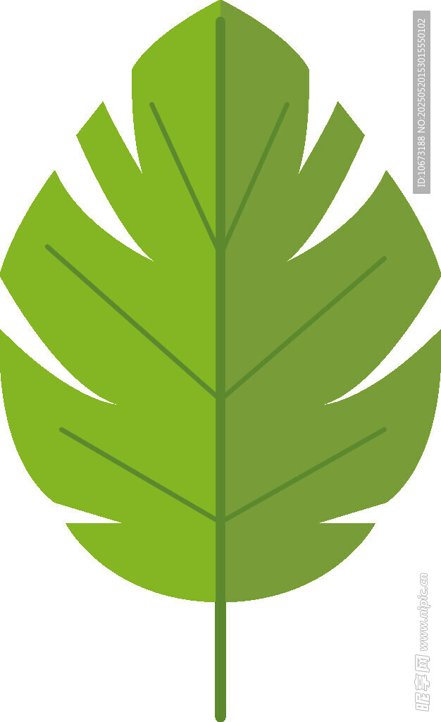綠色大葉植物圖標
