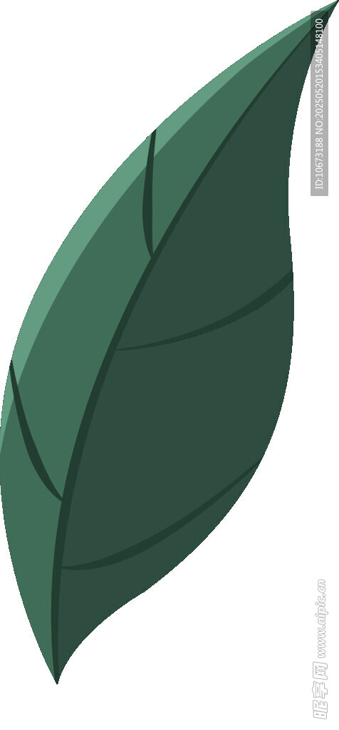 綠色葉片插畫(huà)