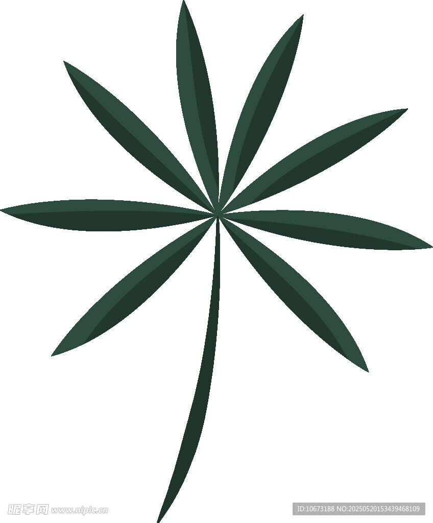 簡約棕櫚葉圖案設(shè)計