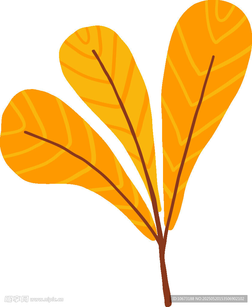 橙色葉片插畫(huà)