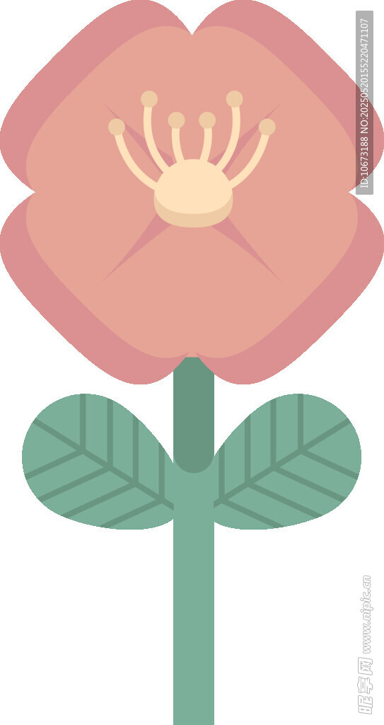 粉色花朵插畫