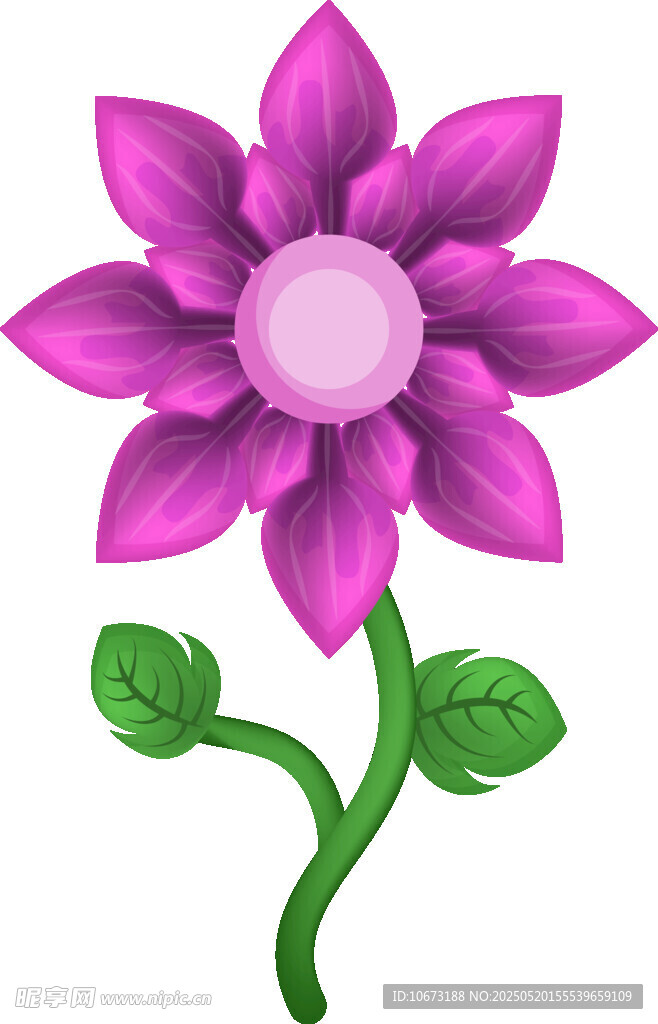 紫色花朵插畫