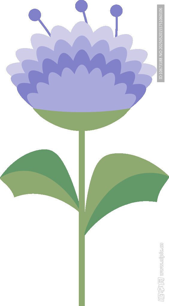 紫色花朵插畫