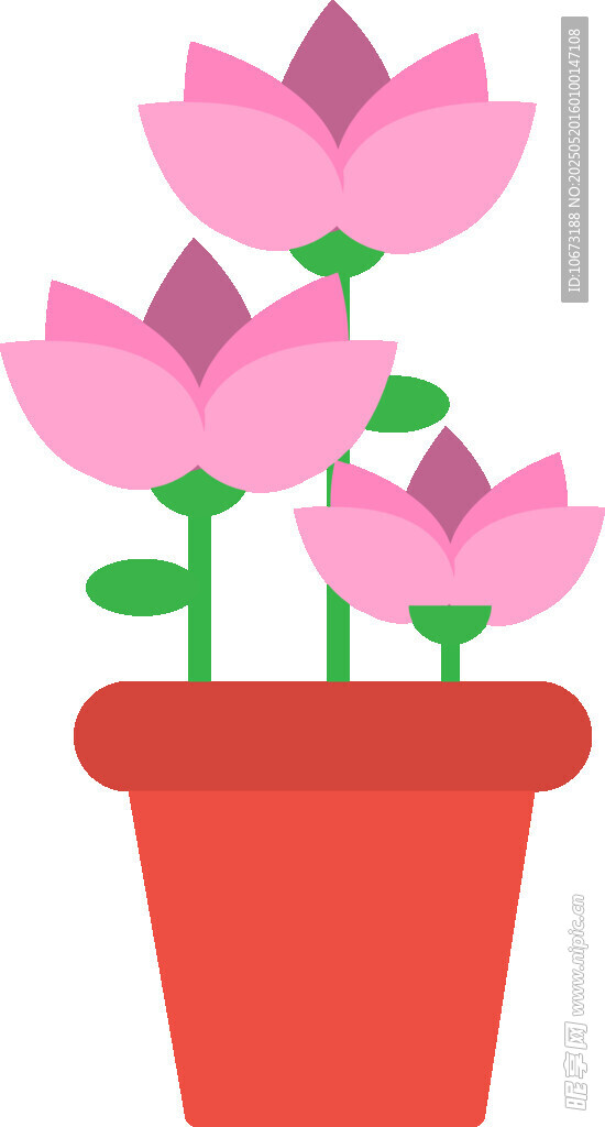 花盆中的粉色蓮花