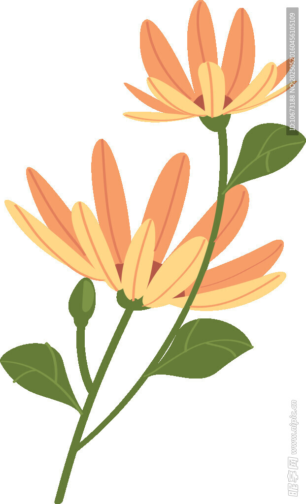 橙色花朵插畫