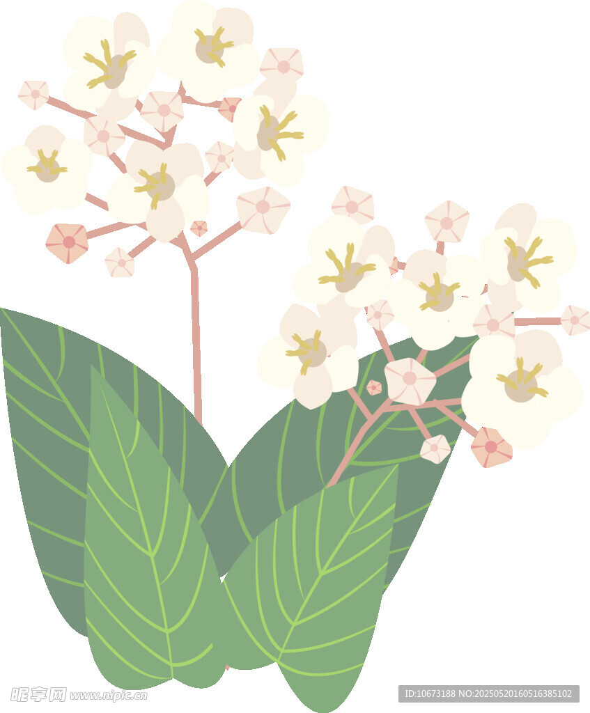 手繪清新花卉綠葉插畫