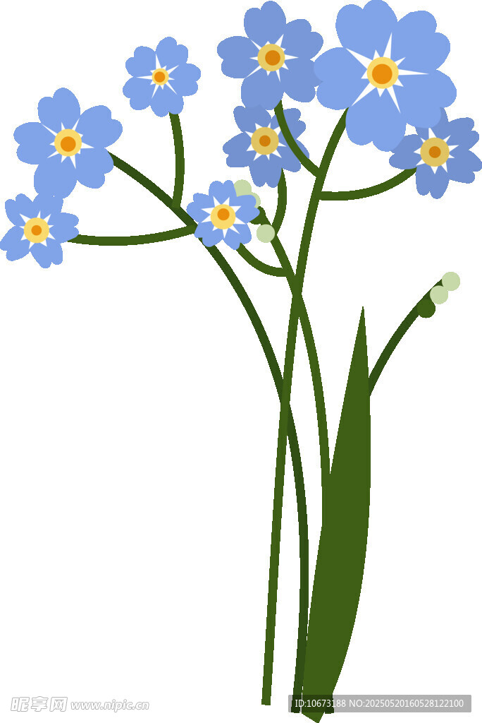 藍色勿忘我花朵插畫