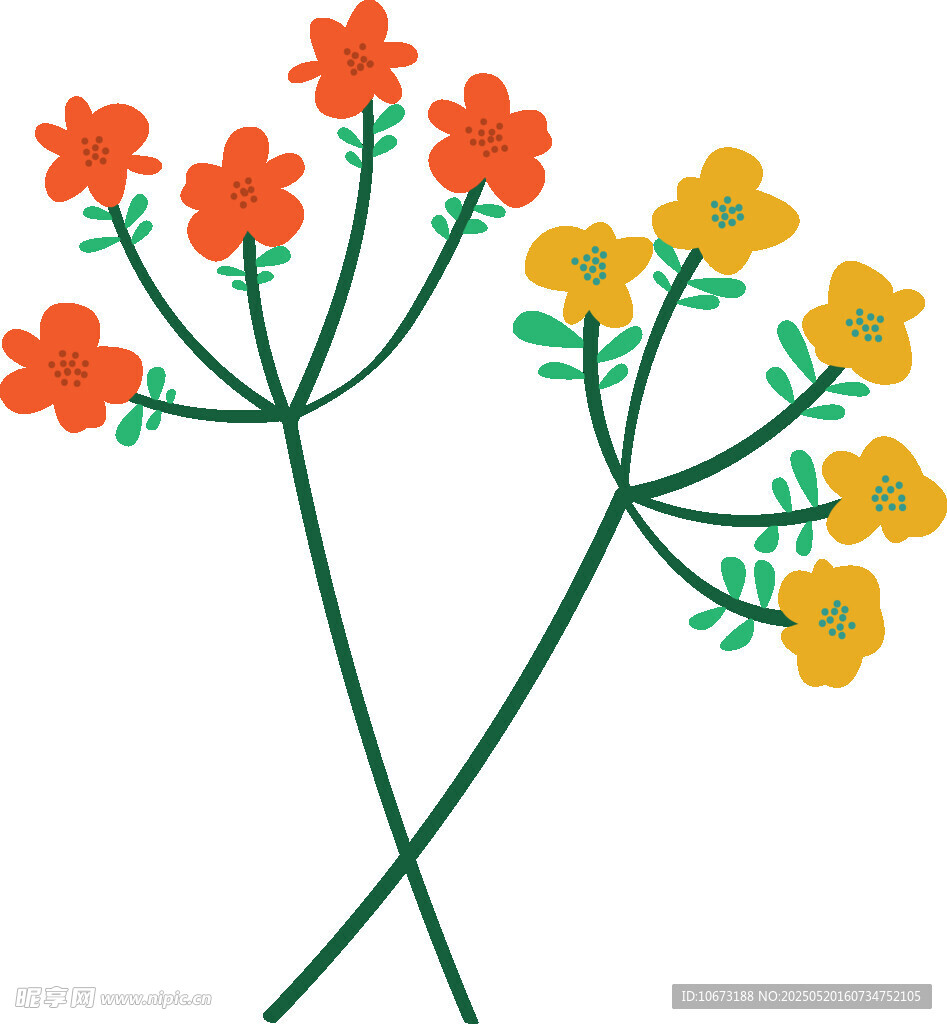 交叉花枝插畫(huà)