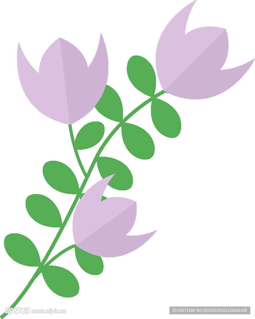 紫色花朵綠葉植物插畫