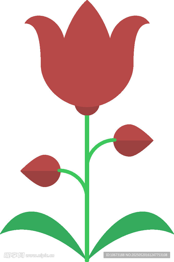 紅色郁金香插畫圖案
