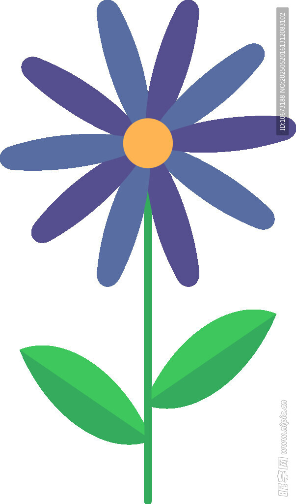 紫色花朵插畫
