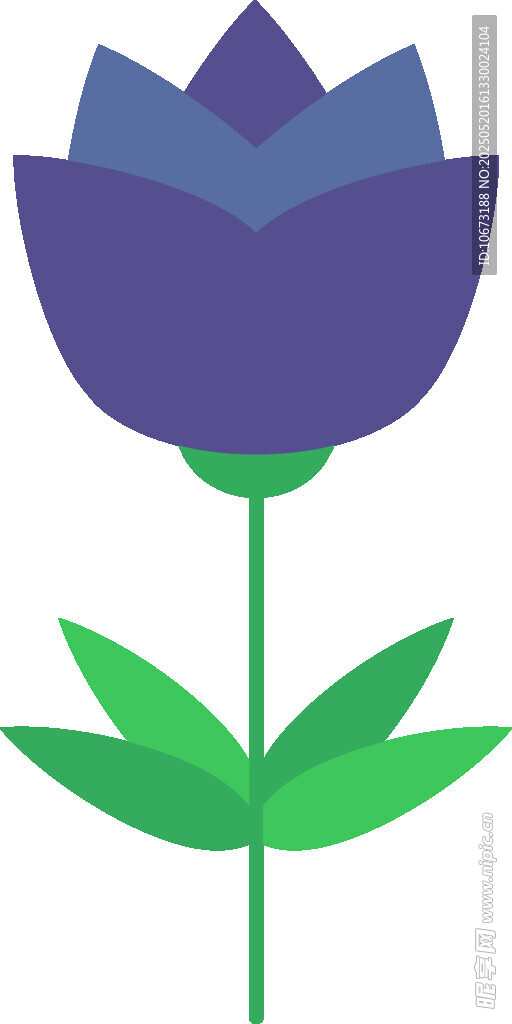 紫色花朵插畫