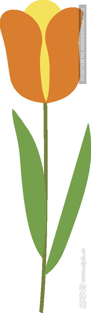 橙色郁金香插畫圖案