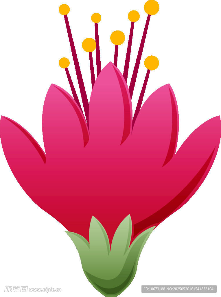 鮮艷綻放的粉色花朵