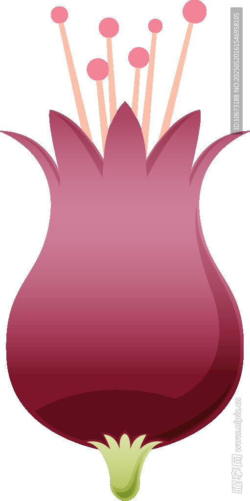 紫色花朵插畫