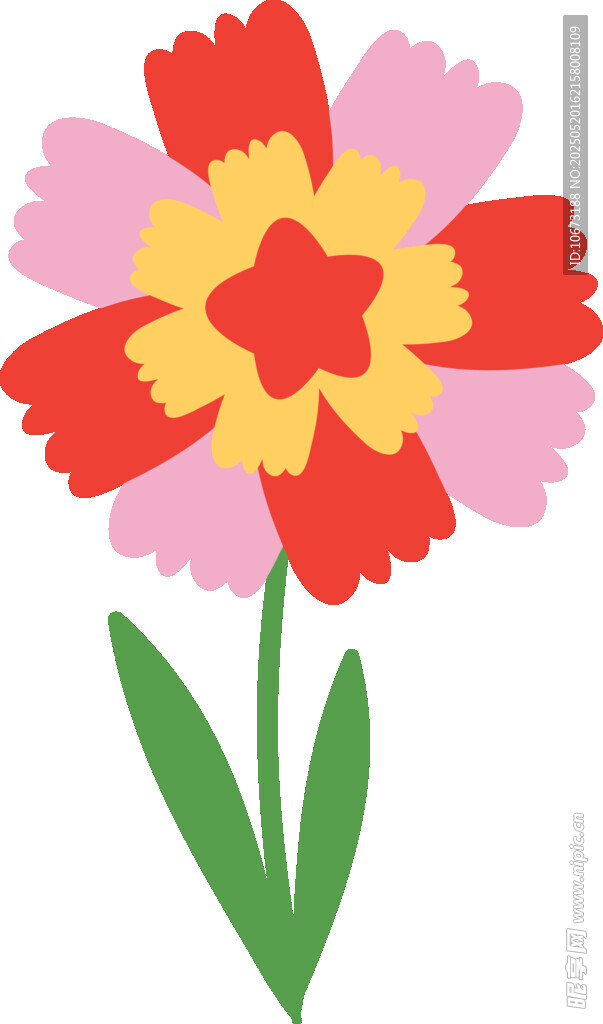 多彩花朵插畫