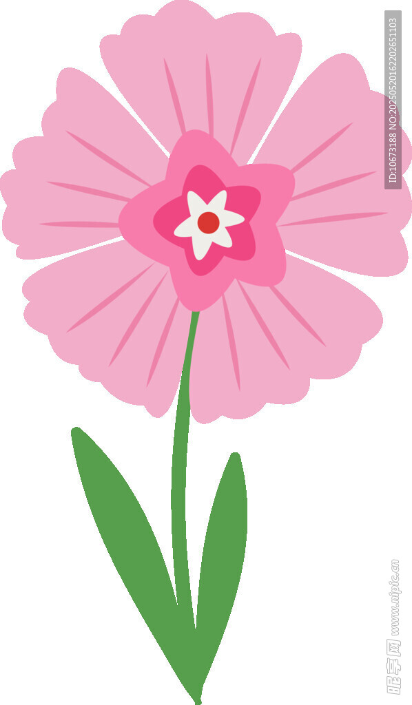 粉色花朵插畫