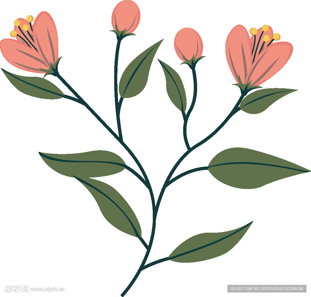粉色花卉枝葉插畫