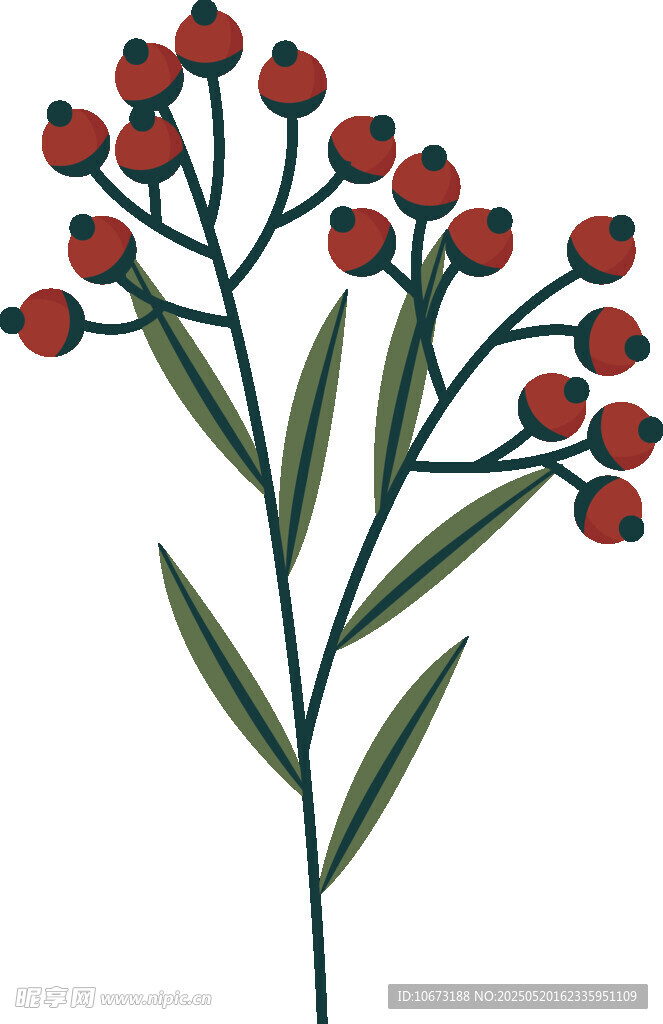 紅色小花植物插畫(huà)