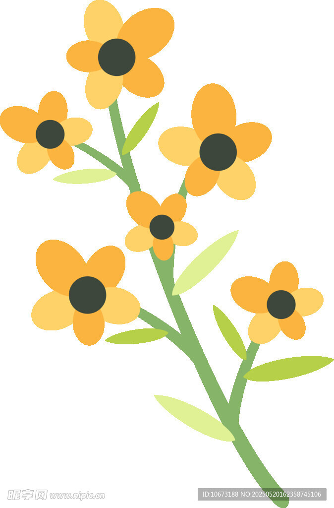 黃色小花插畫