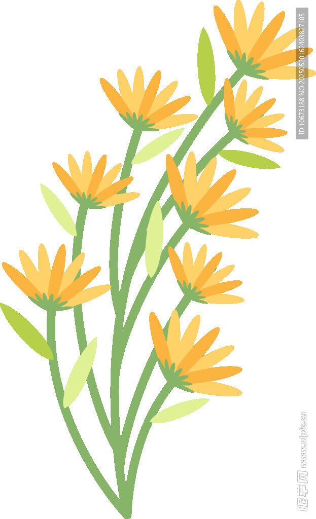 黃色小花插畫
