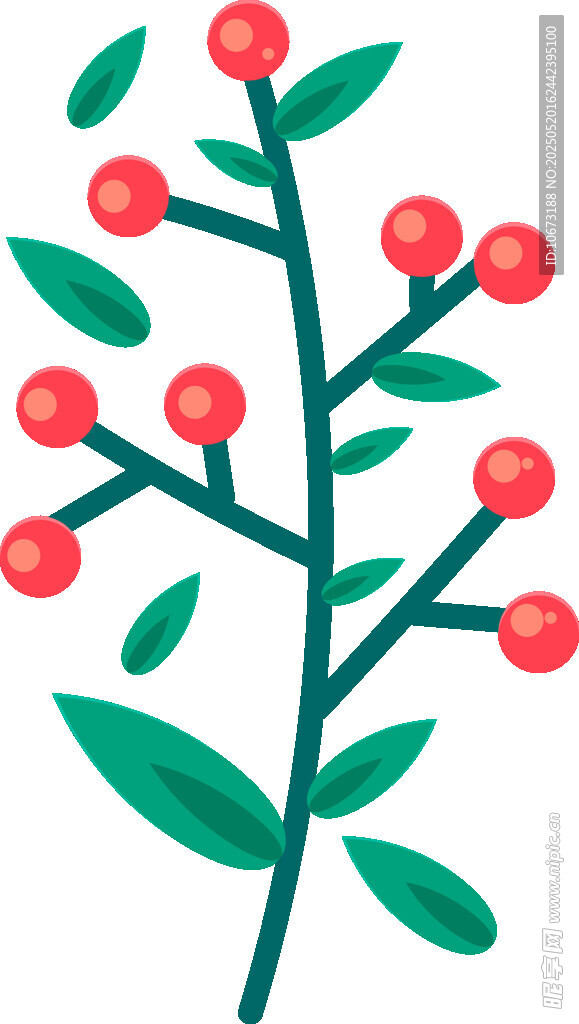 紅色漿果綠葉植物插畫