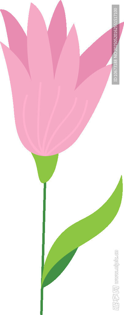 粉色花朵插畫