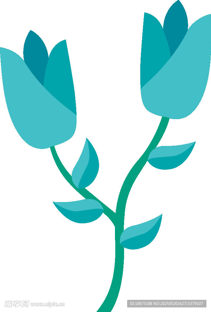 兩朵藍(lán)郁金香插畫(huà)
