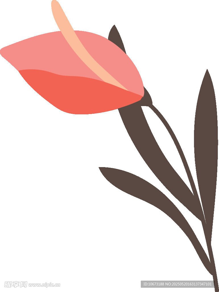 紅色花朵插畫