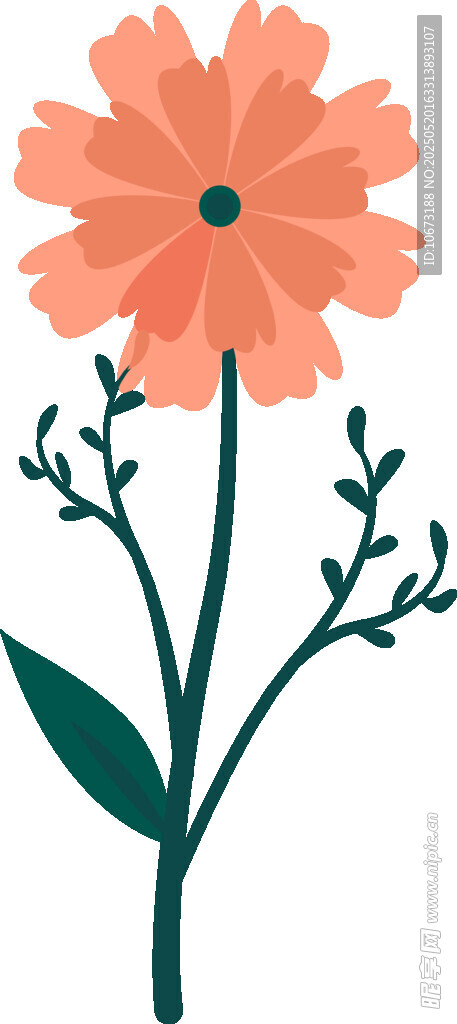 橙色花朵插畫