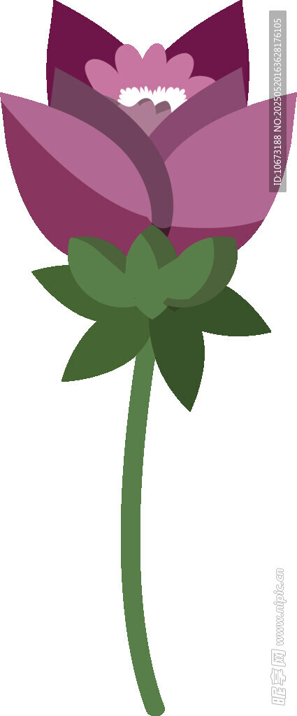 紫色花朵插畫