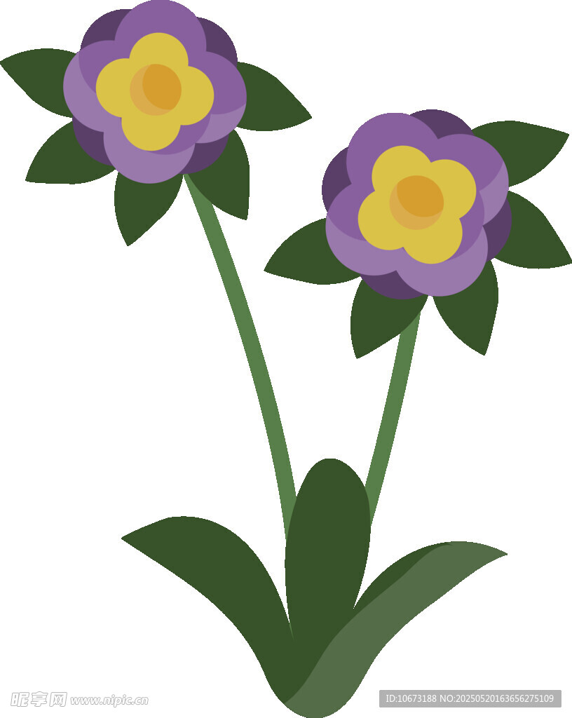 兩朵紫色花朵插畫(huà)