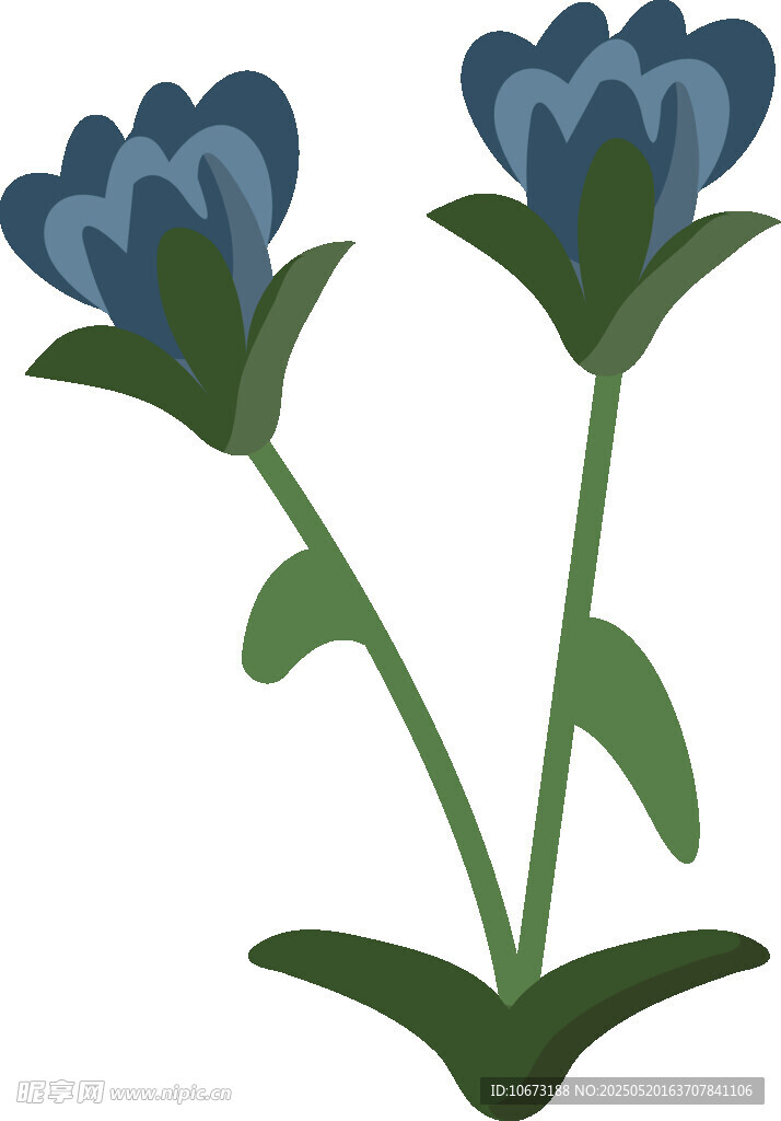 藍(lán)色花朵插畫