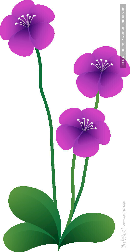 紫色花朵插畫