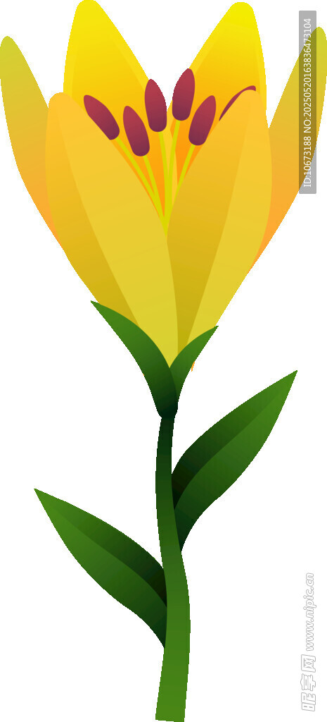 黃色花朵插畫