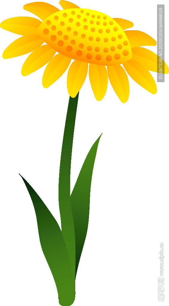 黃色雛菊插畫