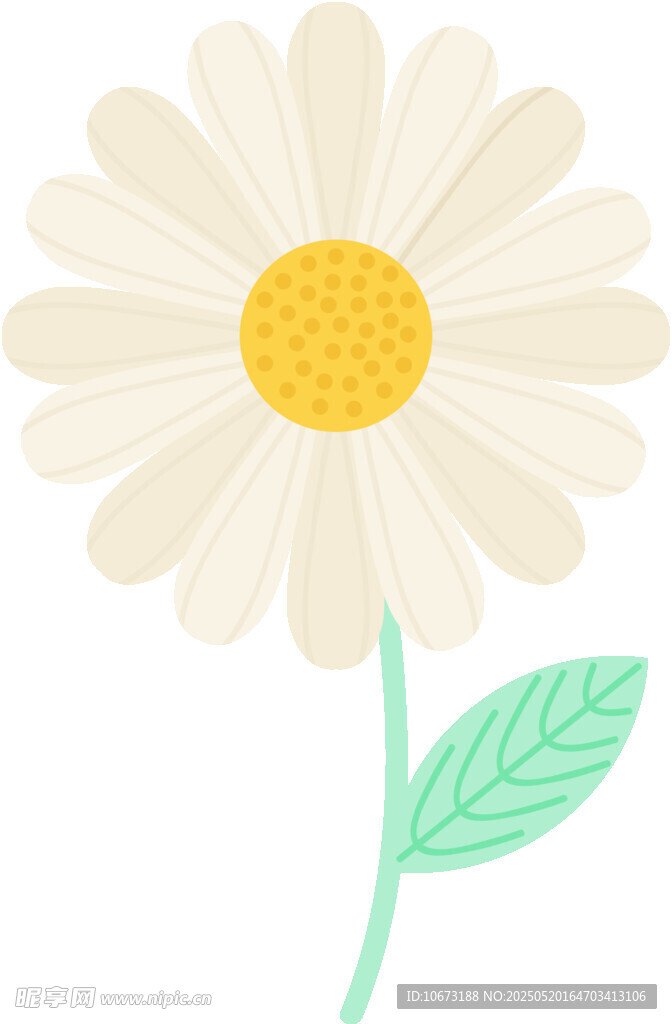 簡約雛菊插畫