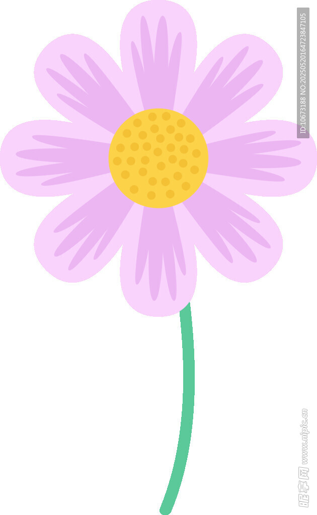 粉色雛菊插畫