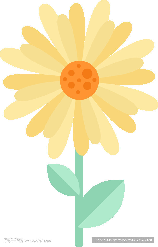 黃色雛菊插畫