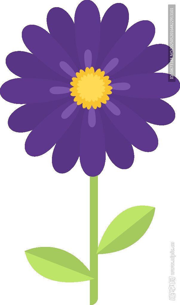 紫色花朵插畫