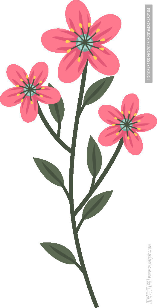 三朵粉色花朵插畫