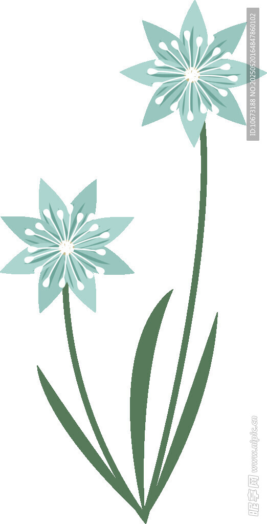 清新藍花插畫