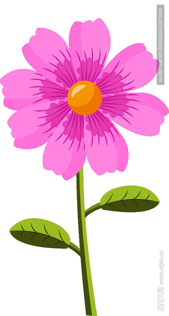 粉色花朵插畫