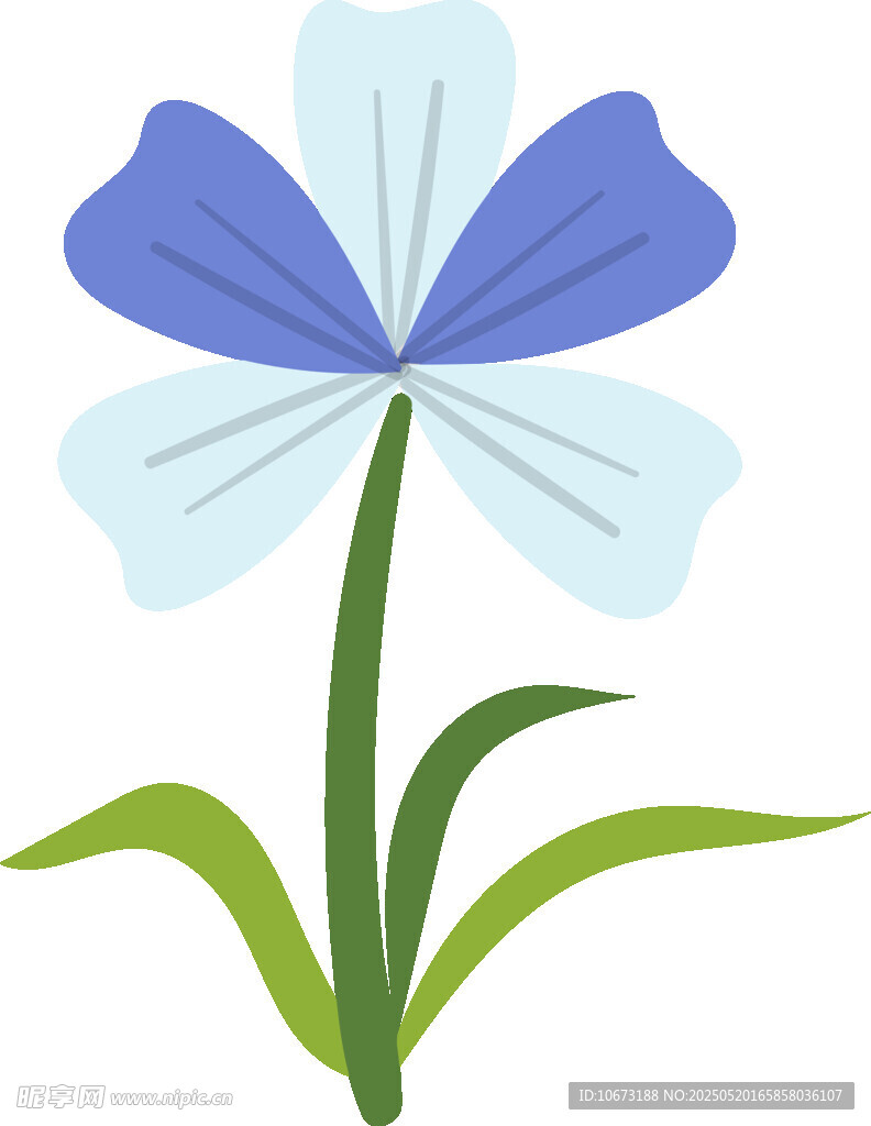 藍色花朵插畫
